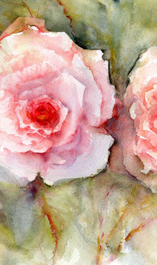 Roses, roses, roses . . . by Jenny Alsop