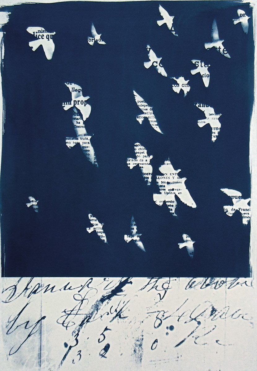 Illustrative Landscape Print By Manel Villalonga, 17 X 24", Cyanotype 02 Birds, Original Artwork