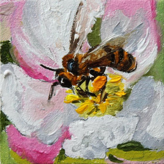 Tiny Bee on Spring Blossom
