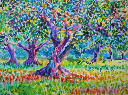 Old olive orchard IV by Maja Grecic