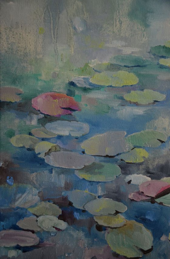 Lily pond. Falling asleep