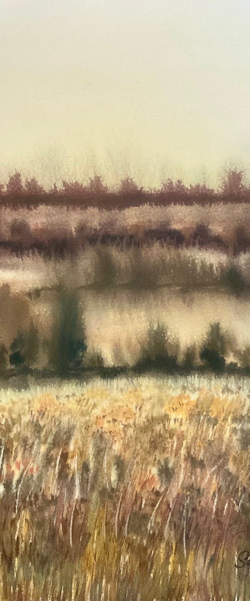 Winter landscape lit by Samantha Adams