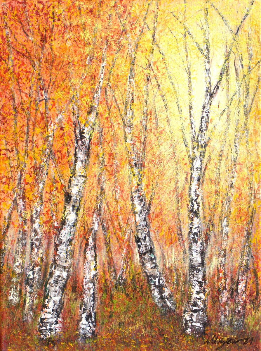 Impressionistic Landscape Oil Painting By Ludmilla Ukrow, 12 X 16", Autumnal Birch Trees, Original Artwork