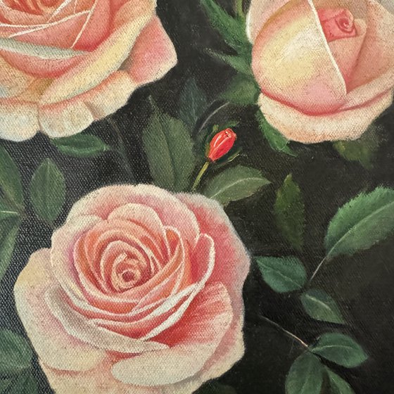 Rose Garden