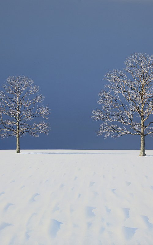 Oak Trees in the Snow by Nigel Wood