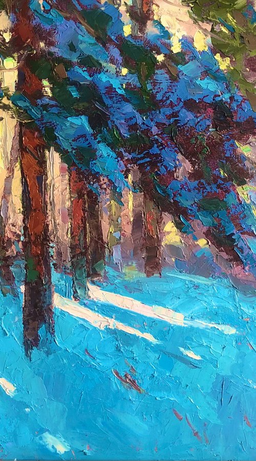 Sunny forest by Sergey  Kachin