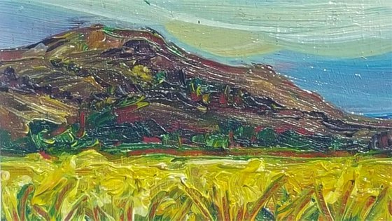 The Summer Fields of Bray Head, Wicklow, Ireland - a Mini Irish Landscape