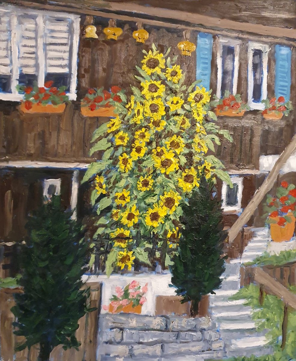 Botanical Oil Painting By Colin Ross Jack, 20 X 24, Sunflower Bush, Wengen, Original Artwork