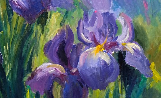 Irises