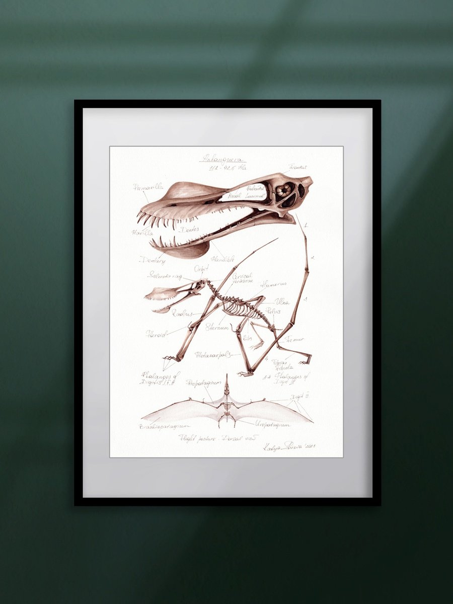 Illustrative Animal Watercolour By Katya Shiova, 12 X 17", Anhanguera (Pterosaur), Original Artwork