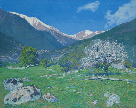 Apple blossom in gorge