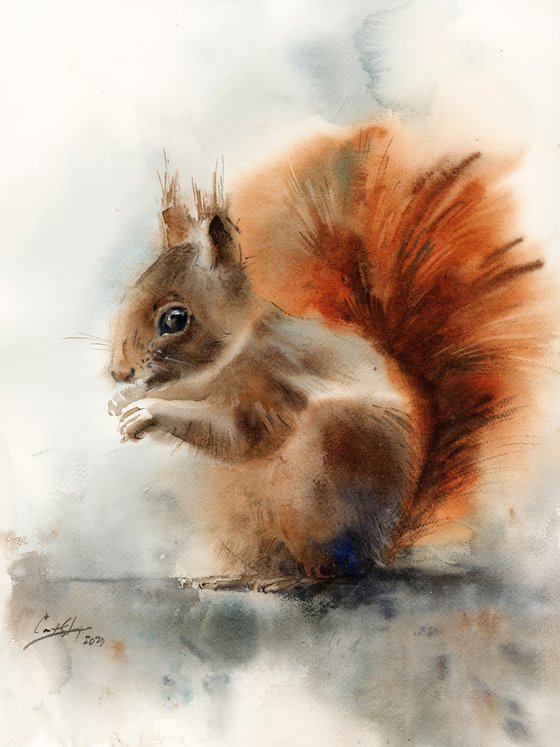 Squirrel