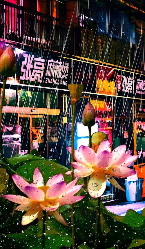Lotuses in the Rain by Alex Solodov