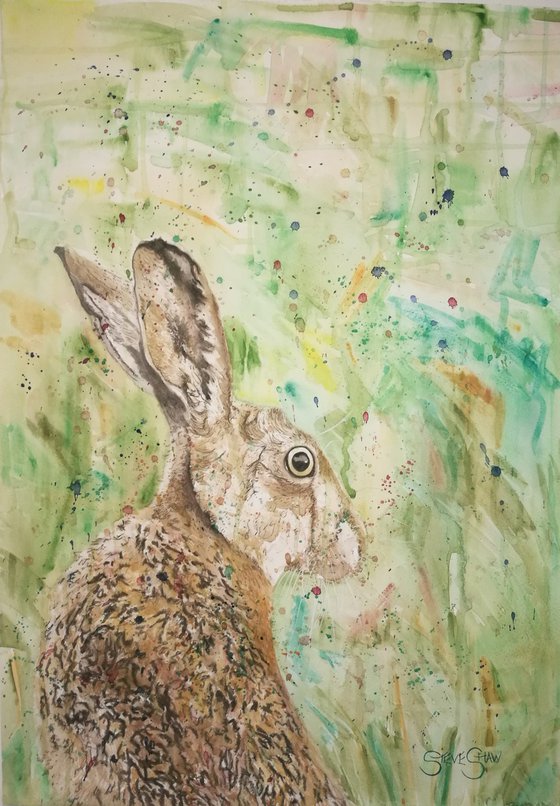 Remain Calm ( on paper ) Free Shipping Hare Painting on Paper.