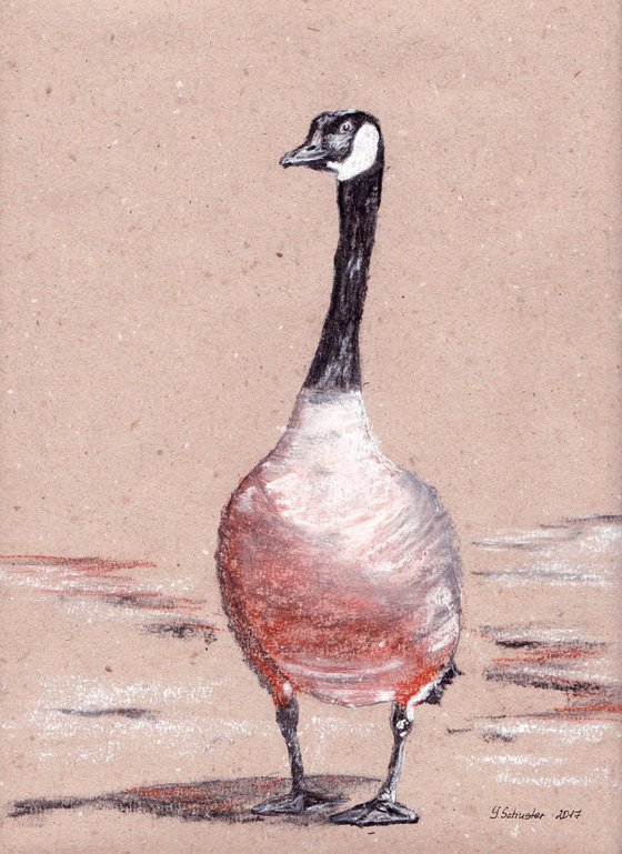Goose. Charcoal drawing on toned paper