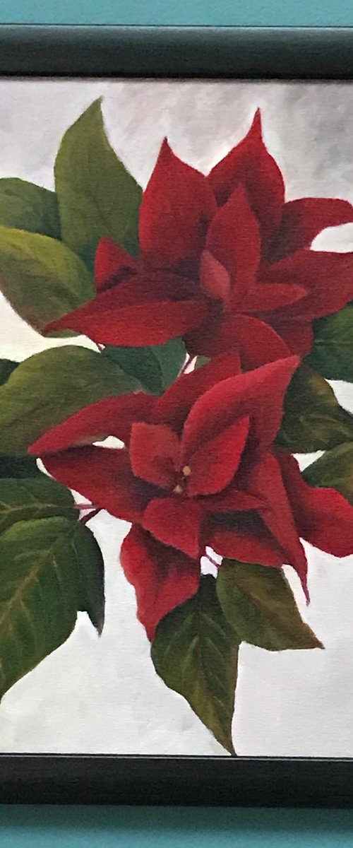 Poinsettia - Framed by JANE  DENTON