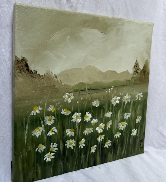 Wild daisies meadow on ochres horizon