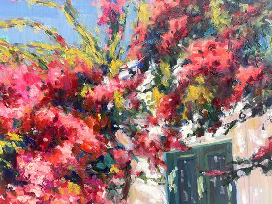 "Blooming yard of Greece"