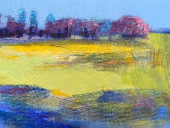 Hawthorn Hedge