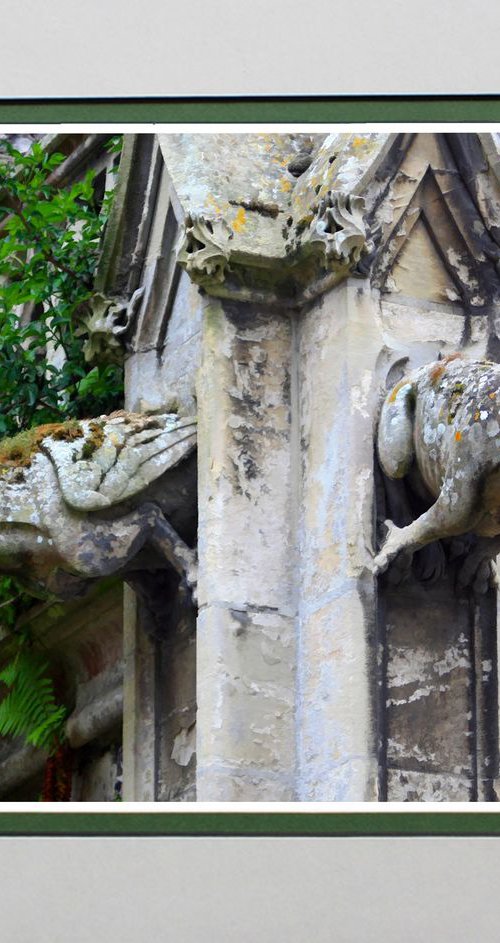 Gargoyles Northern France by Robin Clarke