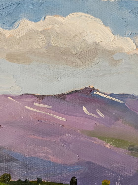 Early spring morning