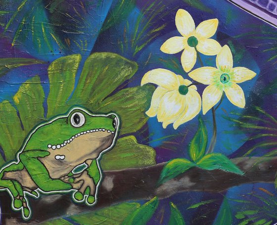 Amazon Kambo Frog