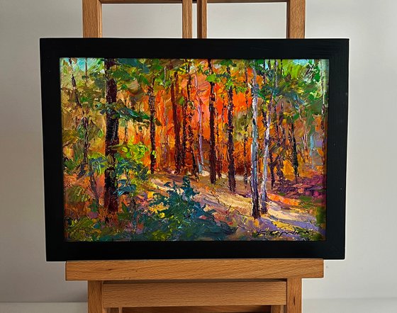 Autumn in the Forest