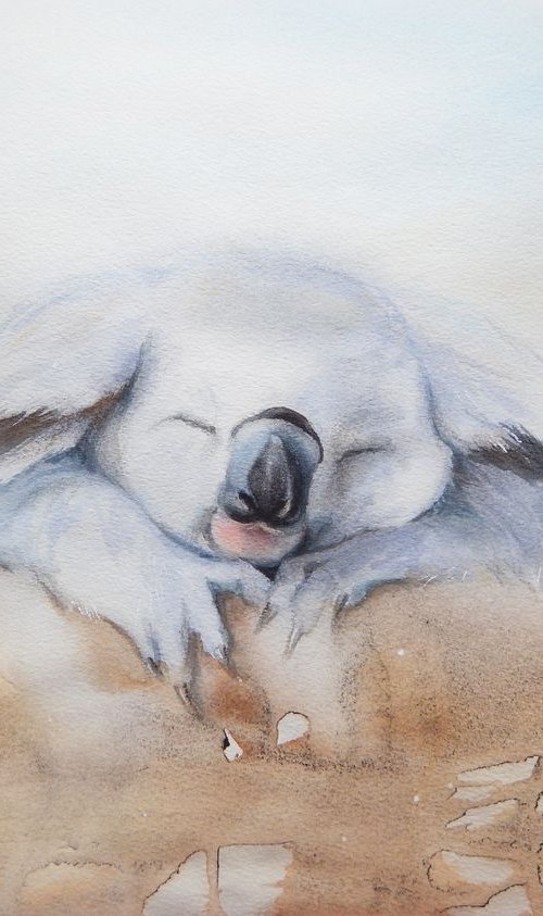 Sleeping koala by Alla Vlaskina