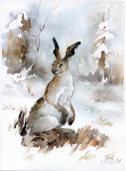 Hare in winter the forest, Watercolor animal by Yulia Evsyukova