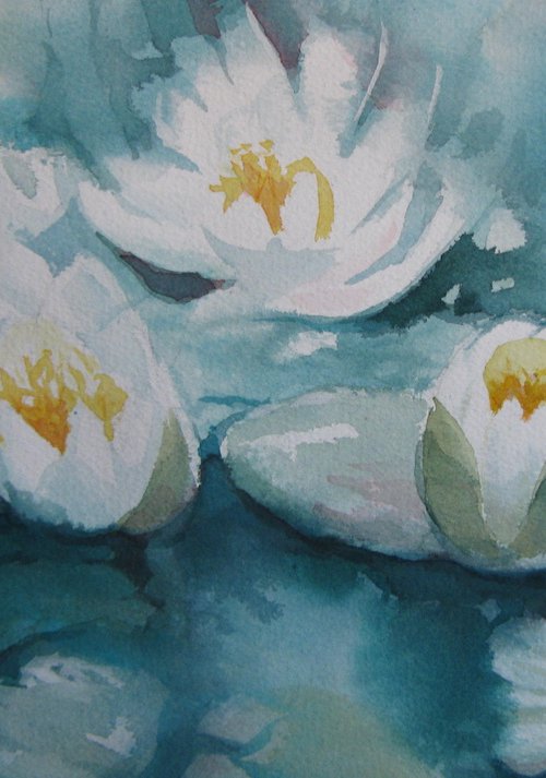 White waterlilies pond by Elena Oleniuc