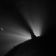 Visit Demyd Demydov shop