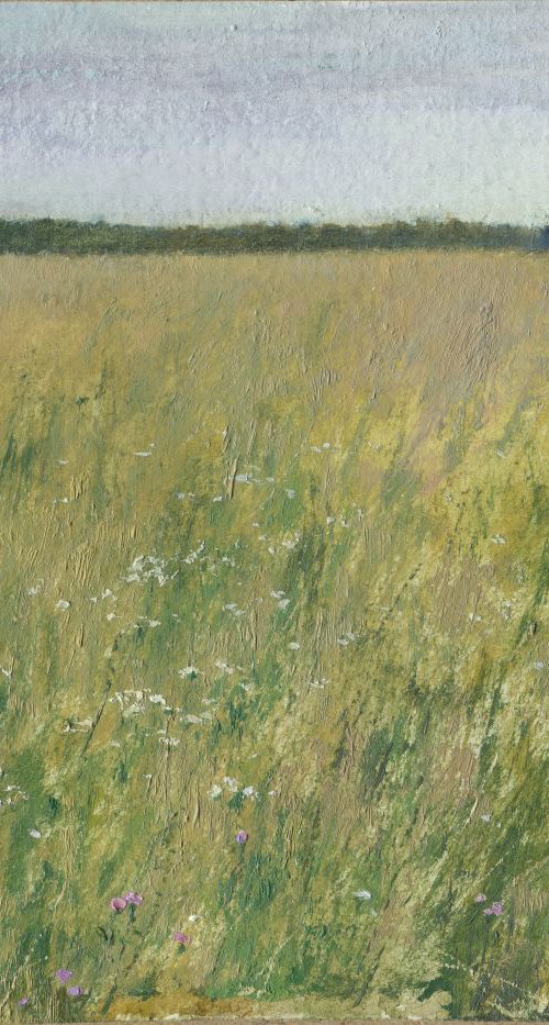 Wheat field by Daniil Belov