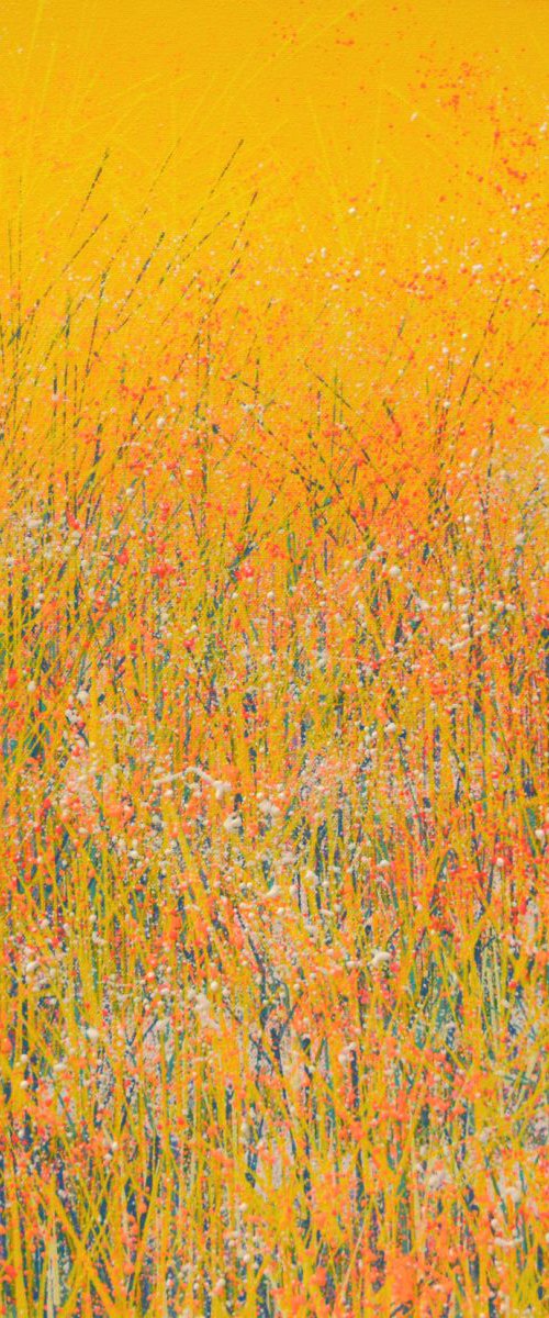 Mellow Yellow... by Marc Todd