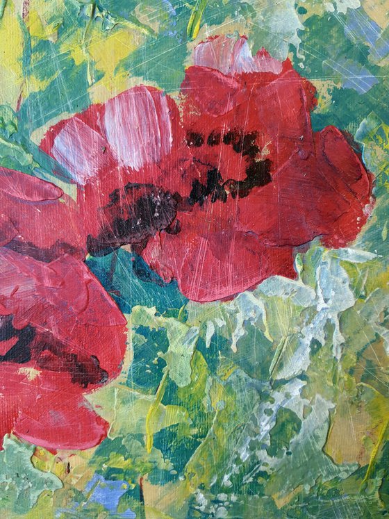 Poppies 10