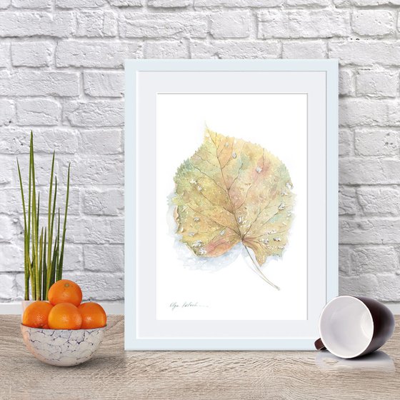 An autumn leaf