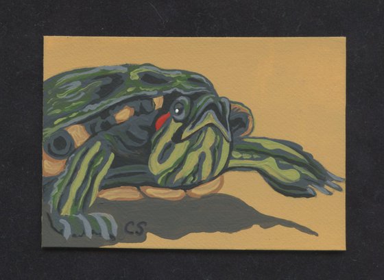 ACEO ATC Original Miniature Painting Red Ear Slider Turtle Pet Art-Carla Smale
