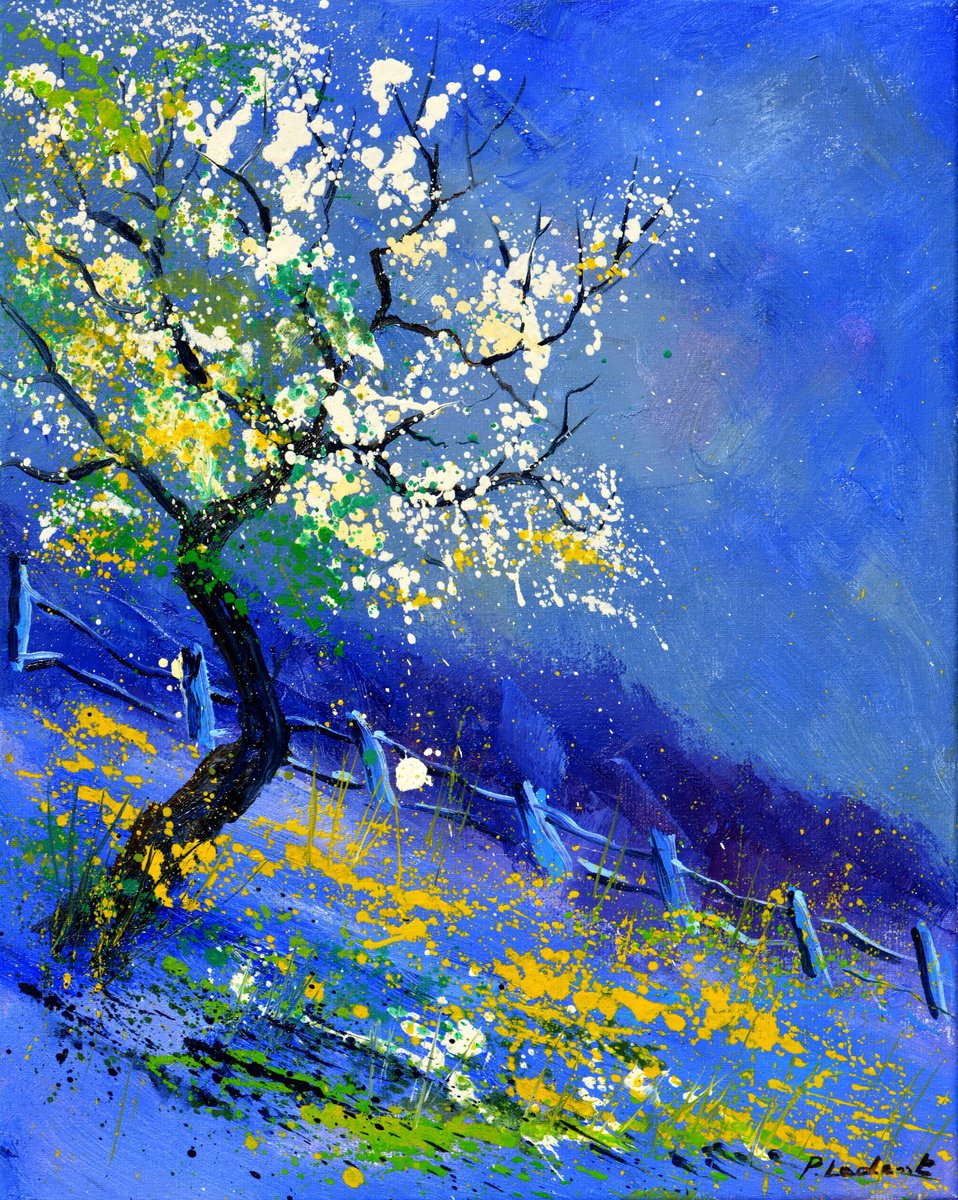 Blue spring by Pol Henry Ledent