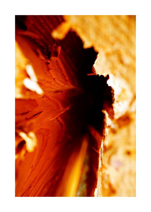 Abstract Nature Photography 18 Golden Light Touch by Richard Vloemans