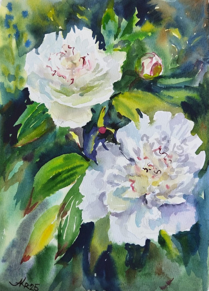Impressionistic Botanical Drawing By Ann Krasikova, 7 X 11, Peonies Flowers, Original Artwork