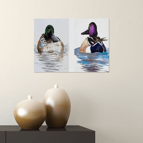 Diptych 2 Wild drakes Mallard