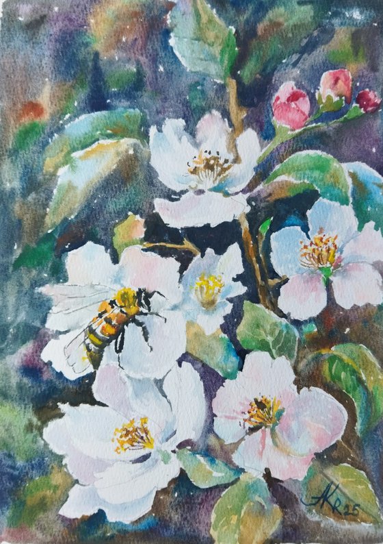Apple blossom. Spring tree