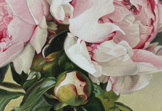 Bouquet of peonies