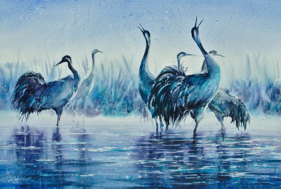 Common cranes