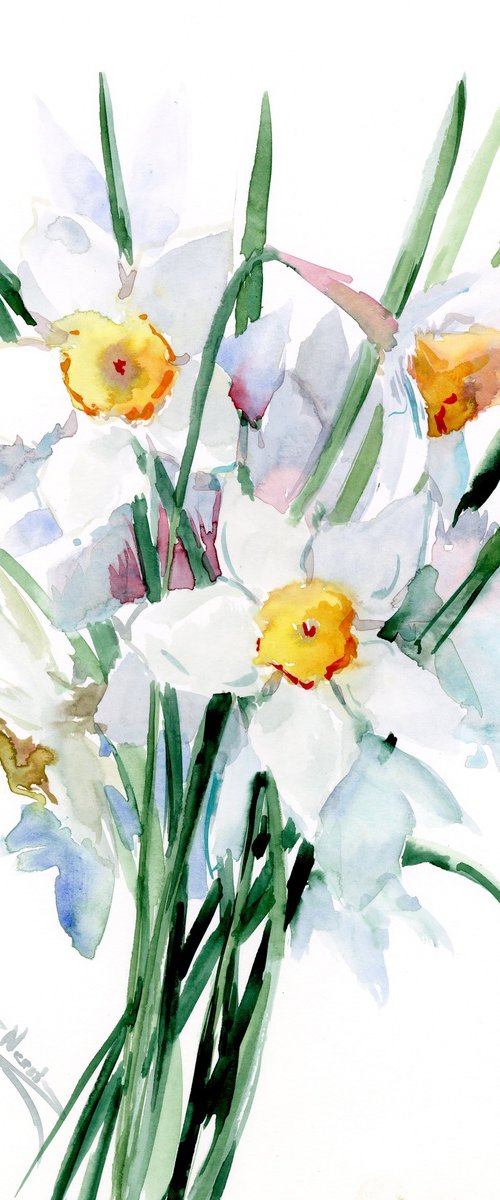 White Daffodil Flowers by Suren Nersisyan