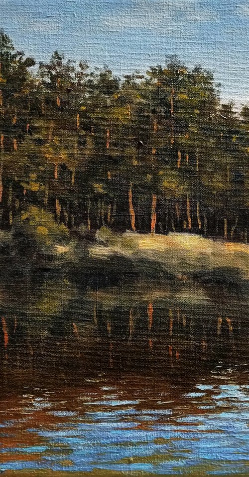 Pines on the shore by Oleh Rak