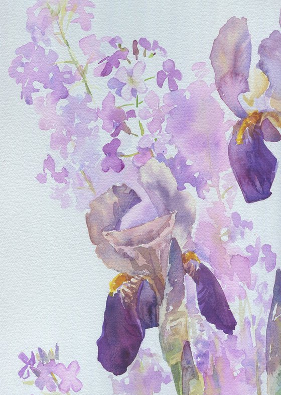 Purple irises with night violets / ORIGINAL watercolor 15x22 (38x56cm)