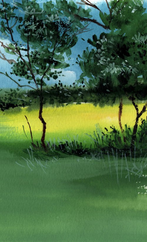 Sunbeams On The Meadow by Anil Nene