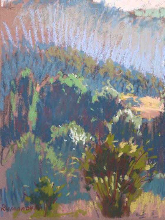 Morning in the Pyrenees