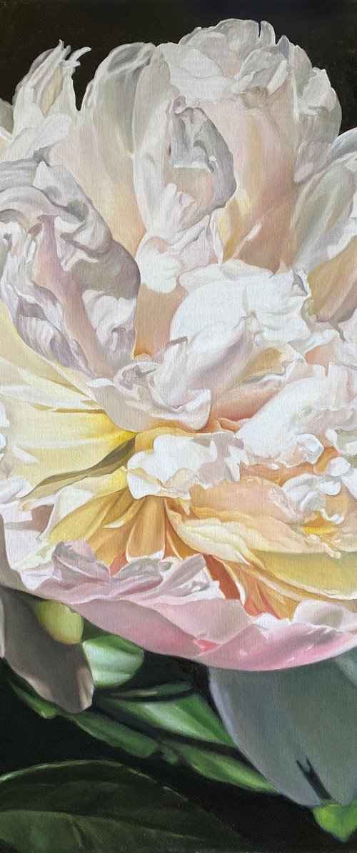 effulgence by Julia Diven