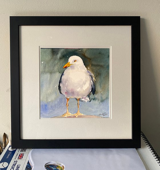 Seagull Henry